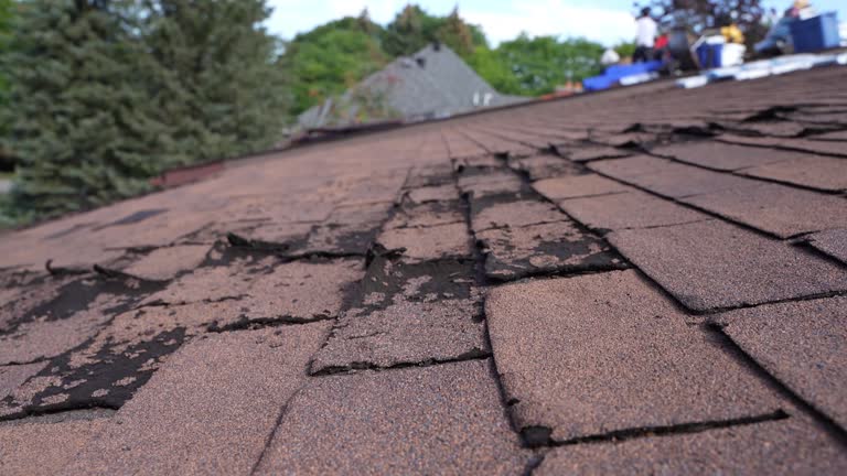 Best Roof Waterproofing  in Berly, MO