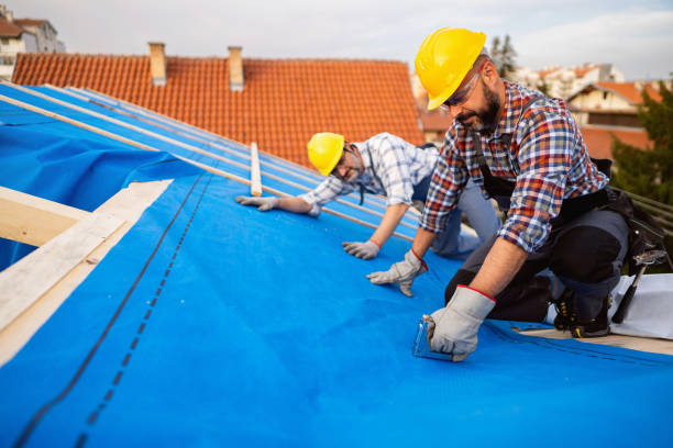 Best Metal Roofing Installation  in Berly, MO