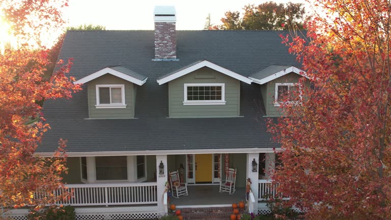 Best Skylight Installation and Repair  in Berly, MO